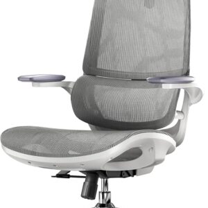 SIHOO M59AS Chaise de Bureau Ergonomique, avec accoudoirs 3D relevables, Double Dossier, Soutien Lombaire Dynamique adaptatif et Maille, idéale pour Le Bureau à Domicile.