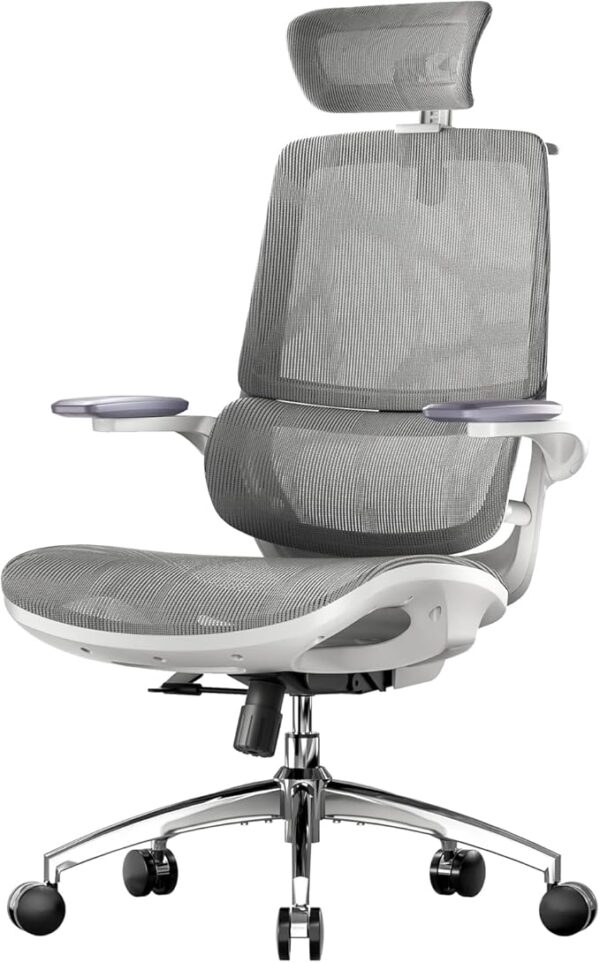 SIHOO M59AS Chaise de Bureau Ergonomique, avec accoudoirs 3D relevables, Double Dossier, Soutien Lombaire Dynamique adaptatif et Maille, idéale pour Le Bureau à Domicile.
