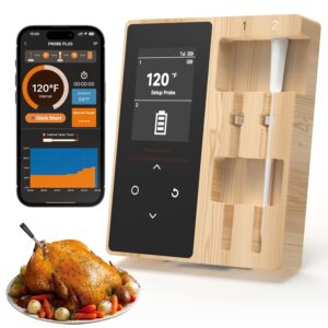 Smart Wireless Meat Thermometer with 2 Color-Coded Probes,Standalone Display Base,