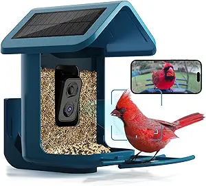 Bird Feeder with Camera Solar Powered