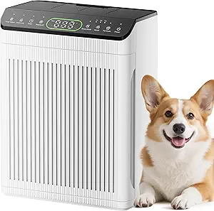 Air Purifiers for Home Large Room
