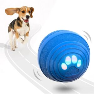 Balle Interactive pour Chien