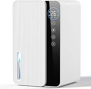 Dehumidifiers for Home