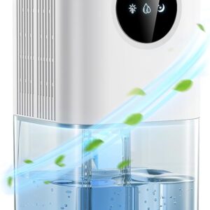 Dehumidifiers for Home