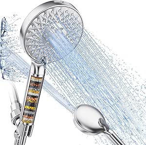 Filtered Shower Head with Handheld