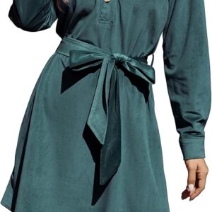 Women's Blouse Dress Long Sleeve A-line Dress Elegant Casual Shirt Dress Mini Dress with Tie Belt for Everyday and Office